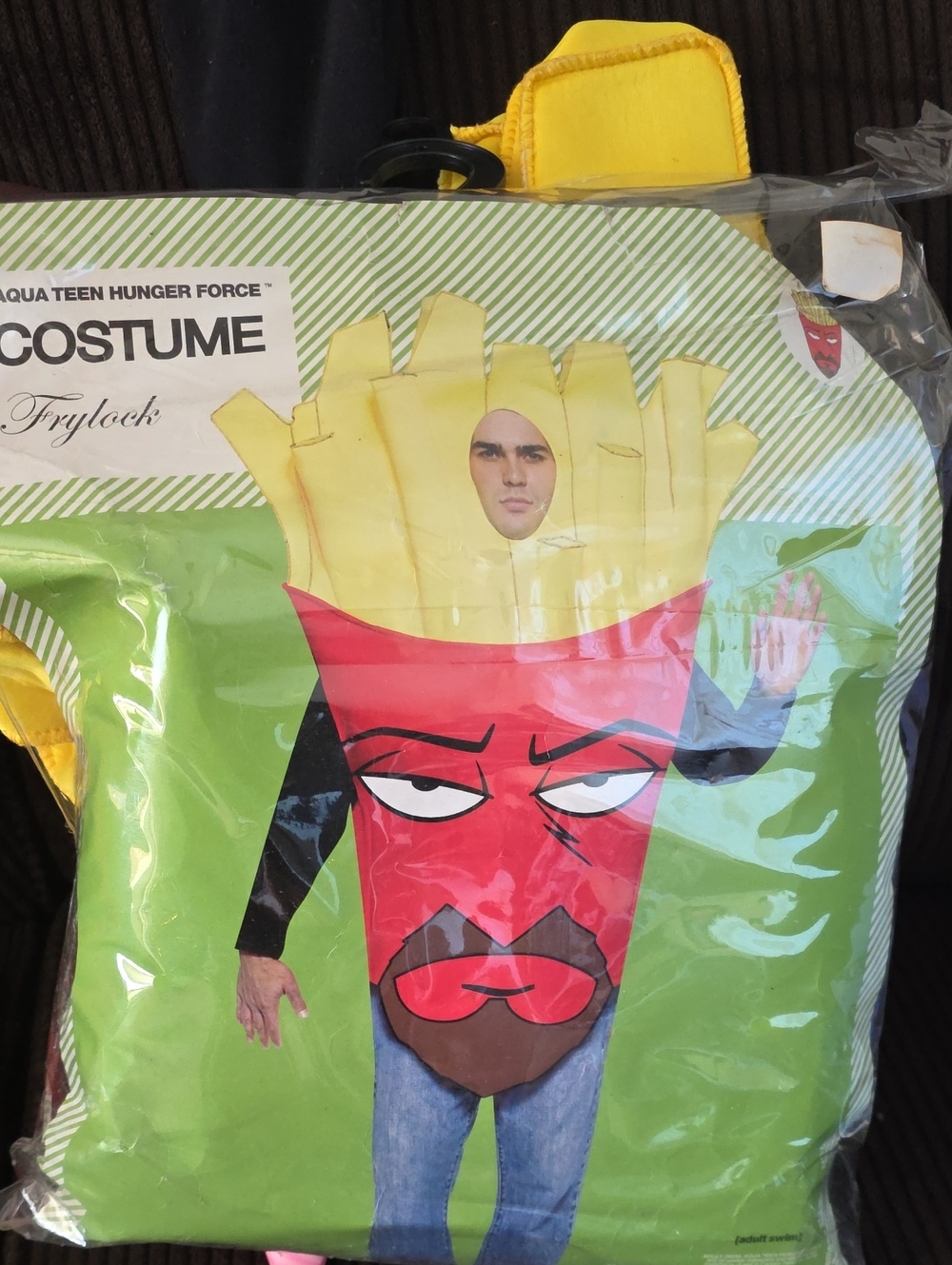 Frylock Adult halloween costume